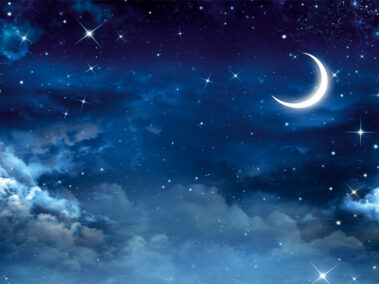 Sternenkinder Naturbestattung GmbH Sternenkinder Naturbestattung GmbH