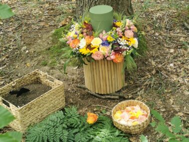 Baumbestattung bestattung wien