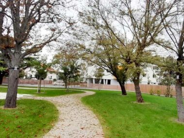 Baumbestattung-Wiener-Neudorf Baumbestattung-Wiener-Neudorf