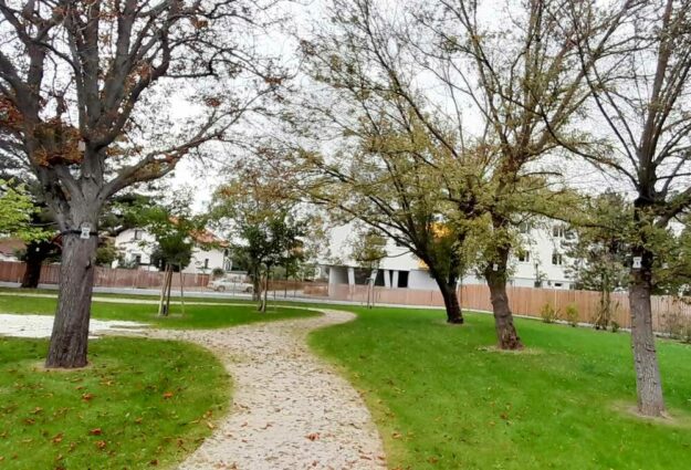 Baumbestattung-Wiener-Neudorf