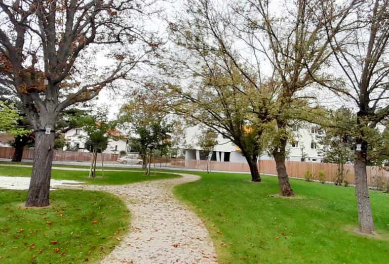 Baumbestattung-Wiener-Neudorf Baumbestattung-Wiener-Neudorf