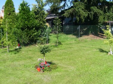 Baumfriedhof Graz Baumbestattung Naturbestattung GmH Baumfriedhof Graz Baumbestattung Naturbestattung GmH