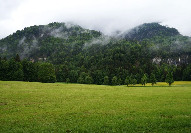 Baumbestattung im Wald der Ewigkeit in Kundl Tirol Waldfriedhof_Naturbestattung Gmbh Zadrobilek