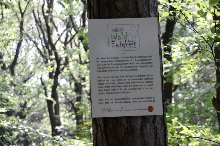 Baumbestattung im Wald der Ewigkeit in Gießhübl Mödling bei Wien Naturbestattung Gmbh Zadrobilek