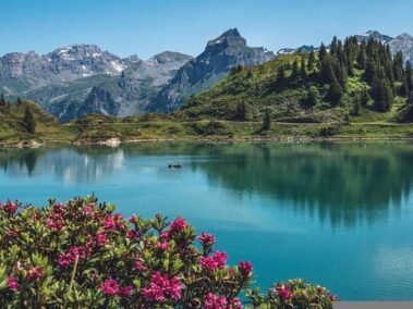 truebsee-g1c6007c6c_640