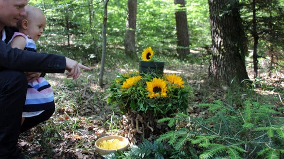 Noch mehr Vielfalt im Wald der Ewigkeit in Bisamberg