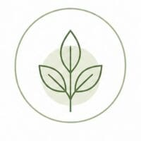 Spezialist für Naturbestattungen Spezialist für Naturbestattungen
