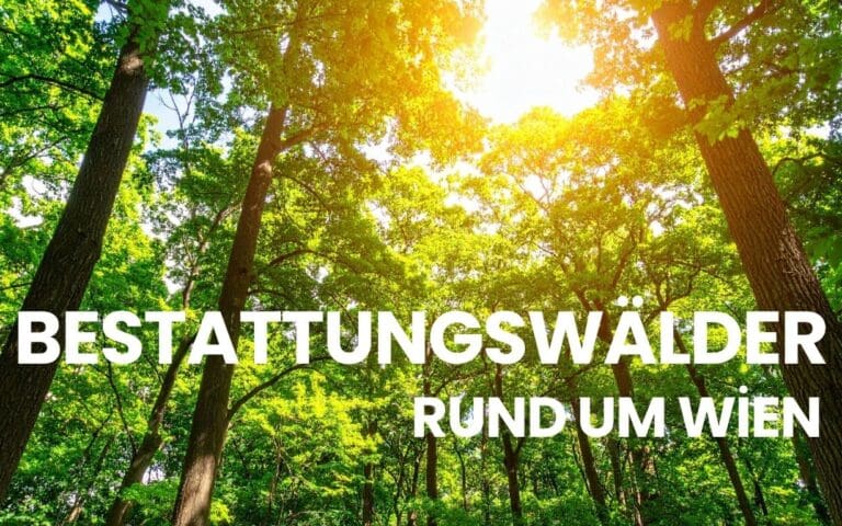 Titelbild Blog Beitrag Bestattungswälder